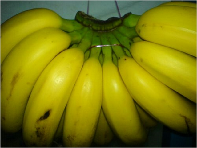 bbppl-pisang 2